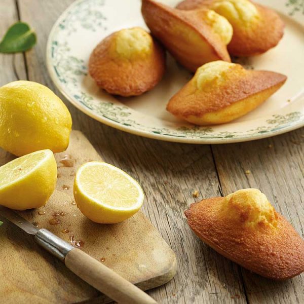 Grandes madeleines citron