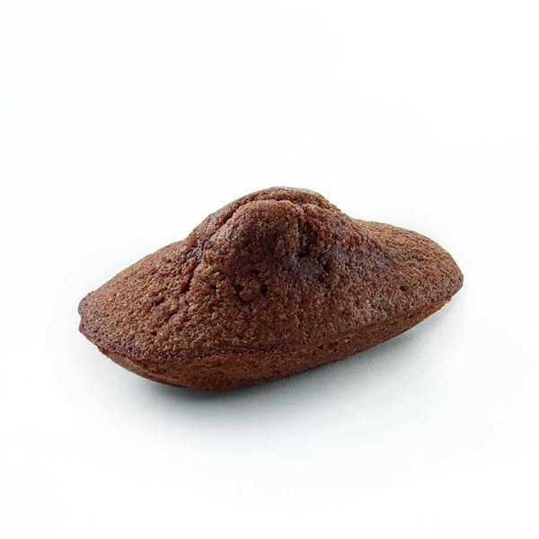 Petite Madeleine chocolat